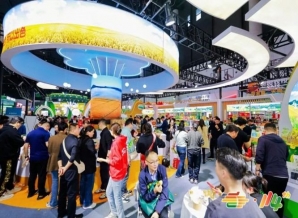 从“材料不全”到“主通道C位”：新锐零食品牌2026秋糖申请全拆解